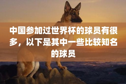 中国参加过世界杯的球员有很多，以下是其中一些比较知名的球员