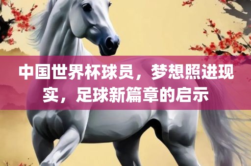 中国世界杯球员，梦想照进现实，足球新篇章的启示