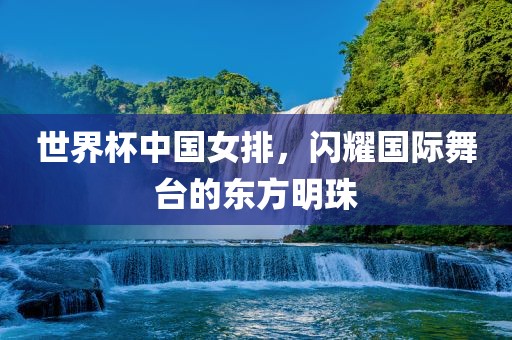 世界杯中国女排，闪耀国际舞眉山市正发家政服务有限公司台的东方明珠