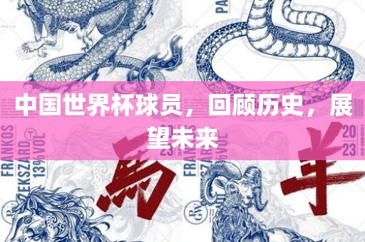 中国世界杯球员，回顾历史，展望未来