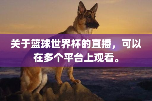 关于篮球世界杯的直播，可以在多个平台上观看。