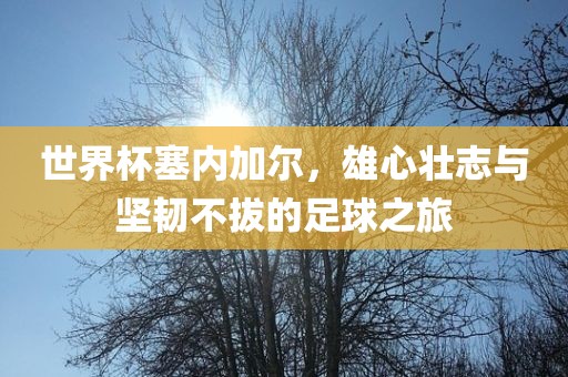世界杯塞内加尔，雄心壮志与坚韧不拔的足球之旅眉山市正发家政服务有限公司