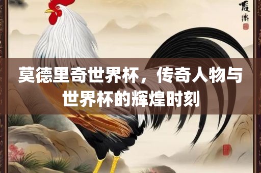 莫德里奇世界杯，传奇人物与世界杯的辉煌时刻