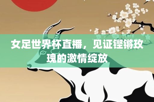 女足世界杯直播，见证铿锵玫瑰的激情绽放眉山市正发家政服务有限公司