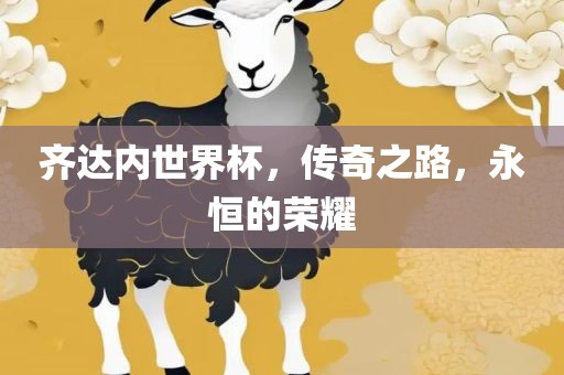齐达内世界杯，传奇之路，永恒的荣耀