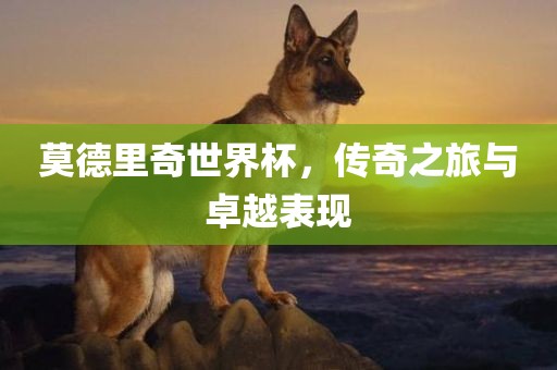 莫德里奇世界杯，传奇之旅与卓越表现