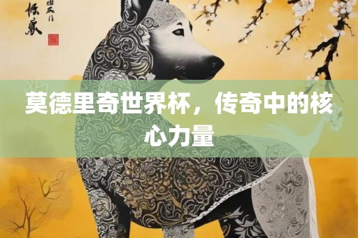莫眉山市正发家政服务有限公司德里奇世界杯，传奇中的核心力量