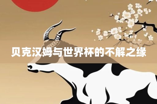 贝克汉姆与世界杯的不解之缘