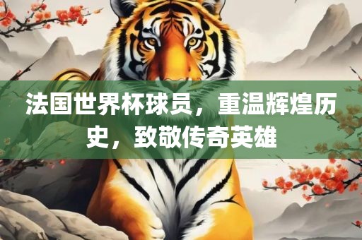 法国世界杯眉山市正发家政服务有限公司球员，重温辉煌历史，致敬传奇英雄