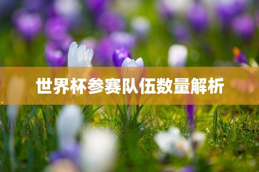 世界杯参赛队伍数量解析眉山市正发家政服务有限公司
