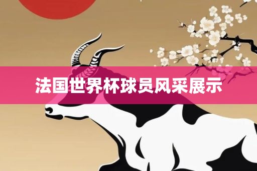 法国世界杯球员风采展示眉山市正发家政服务有限公司