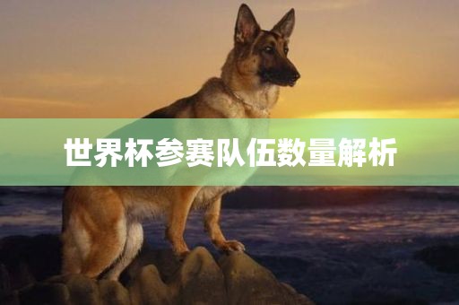 世界杯参赛队伍数量解析