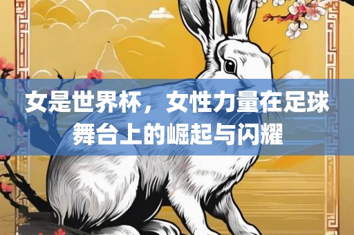 女是世界杯，女性力量在足球舞台上的崛起与闪耀眉山市正发家政服务有限公司