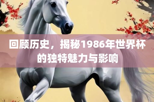 回顾眉山市正发家政服务有限公司历史，揭秘1986年世界杯的独特魅力与影响