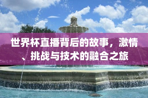 世界杯直播背后的故事，激情、挑战与技术的融合之旅眉山市正发家政服务有限公司