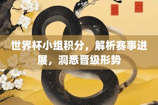 世界杯小组积分，解析赛事进展，洞悉晋级形势
