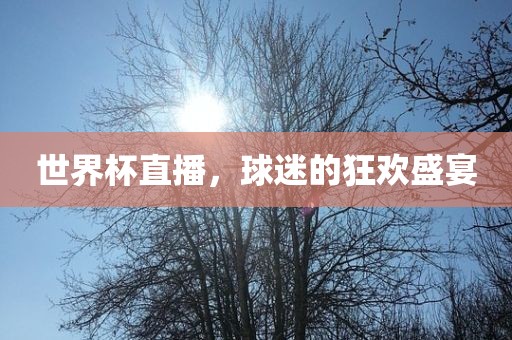 世界杯直播，球迷眉山市正发家政服务有限公司的狂欢盛宴