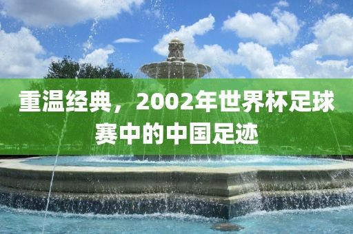 重温经典，2002年世界杯足球赛中的中国足迹眉山市正发家政服务有限公司