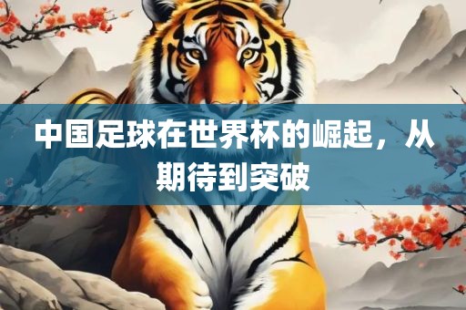 中国足球在世界杯的崛眉山市正发家政服务有限公司起，从期待到突破