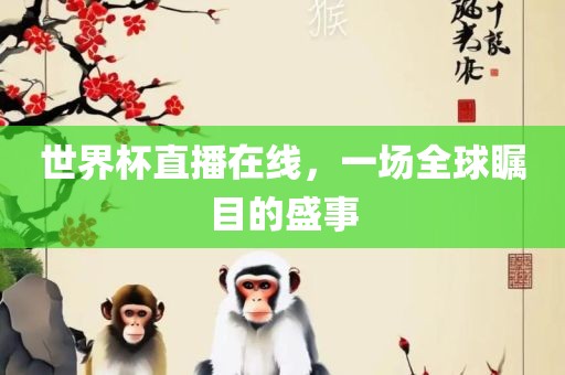 世界杯眉山市正发家政服务有限公司直播在线，一场全球瞩目的盛事