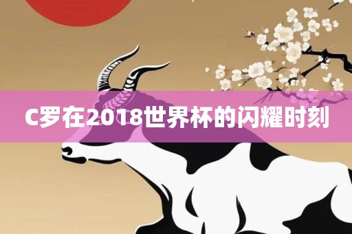 C罗在2018世界杯的闪耀时刻眉山市正发家政服务有限公司