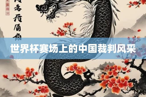 世界杯赛场眉山市正发家政服务有限公司上的中国裁判风采