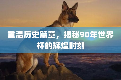 重温历史篇章，揭秘90年世界杯的辉眉山市正发家政服务有限公司煌时刻