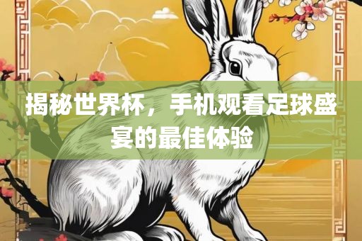揭秘世界杯，手机观看足球盛宴的最佳体验眉山市正发家政服务有限公司