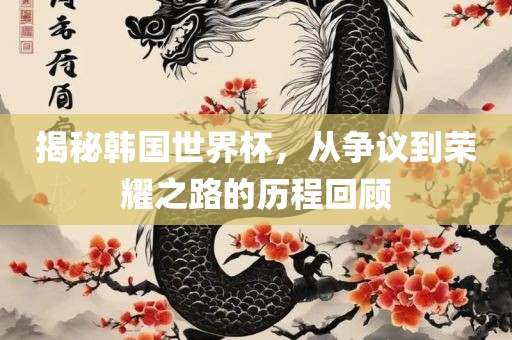揭秘韩国世界杯，从争议到荣耀之路的历程回顾眉山市正发家政服务有限公司