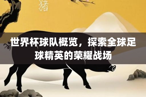 世界杯球队概览，探索全球足球精英的荣耀战场