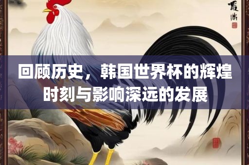 回顾历史，韩国世界杯的辉煌时刻与影响深远的发展眉山市正发家政服务有限公司