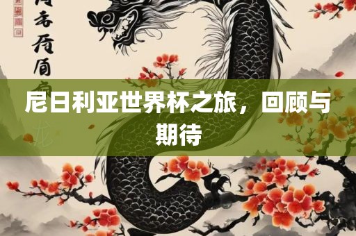 尼日利亚世界杯之旅，回顾与期待眉山市正发家政服务有限公司