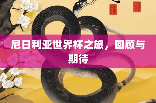 尼日利亚世界杯之旅，回顾与期待眉山市正发家政服务有限公司