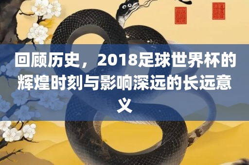 回顾历史，2018足球世界杯的辉煌时刻与影响深远的长远意义眉山市正发家政服务有限公司