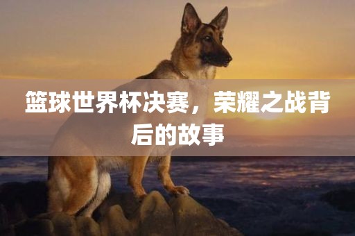 篮球世界杯决赛，荣耀之战背后的故眉山市正发家政服务有限公司事