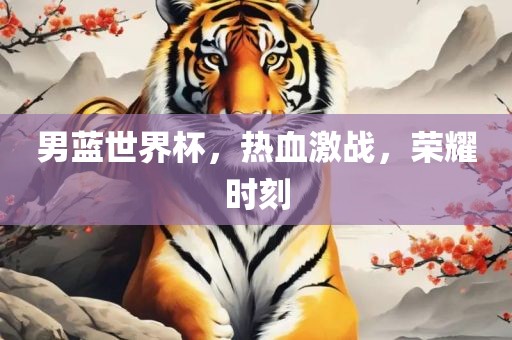 男蓝世界杯，热血激战，荣耀时刻眉山市正发家政服务有限公司