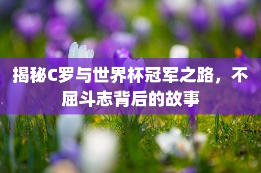揭秘C罗与世界杯冠军之路，不屈斗志背后的故事