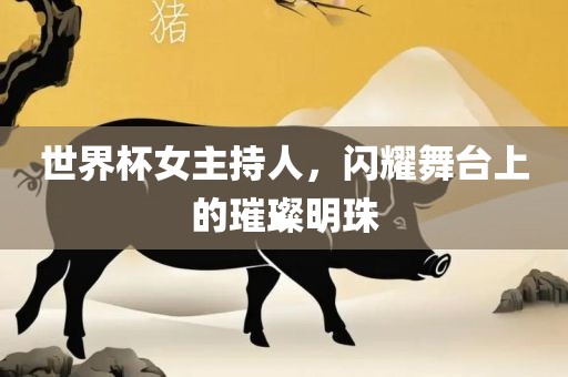 世界杯女主持人，闪耀舞台上的璀璨明珠