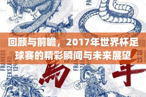 回顾与前瞻，2眉山市正发家政服务有限公司017年世界杯足球赛的精彩瞬间与未来展望