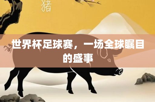 世界杯足球赛，一场全球瞩目的盛事眉山市正发家政服务有限公司