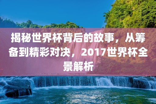 揭秘世界杯背后的故事，从筹备到精彩对决，2017世界杯全景解析眉山市正发家政服务有限公司