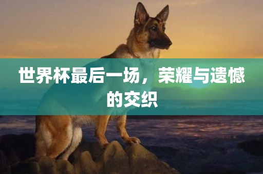 世界杯最后一场，荣耀与遗憾的交织眉山市正发家政服务有限公司