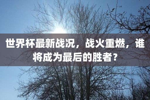 世界杯最新战况，战眉山市正发家政服务有限公司火重燃，谁将成为最后的胜者？
