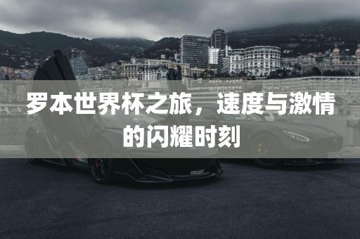 罗本世界杯之旅，速度与激情的闪耀时刻