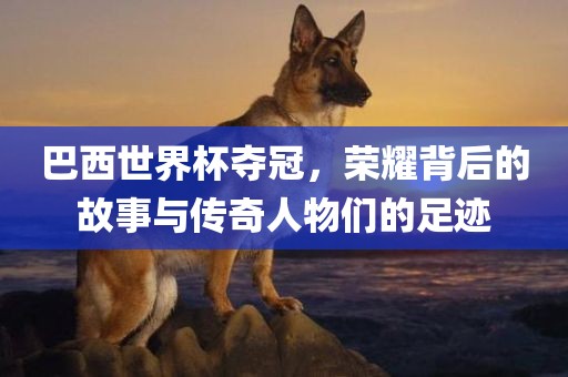 巴西世界杯夺冠，荣耀背后的故事与传奇人物们的足迹