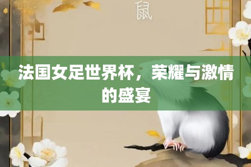 法国女足世界杯，荣耀与激情眉山市正发家政服务有限公司的盛宴