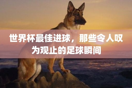 世界杯最佳进球，那些令人叹为观止的足球瞬间