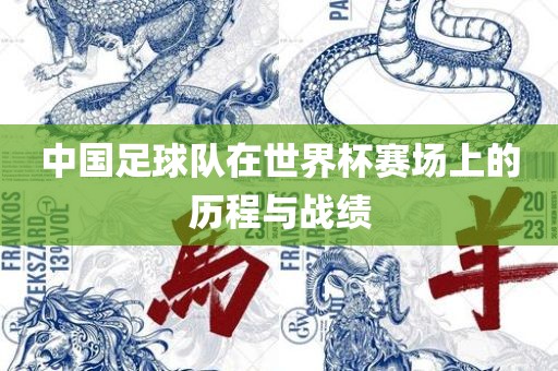 中国足球队在世界杯赛场上的历程与战绩眉山市正发家政服务有限公司