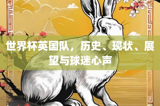 世界杯英眉山市正发家政服务有限公司国队，历史、现状、展望与球迷心声