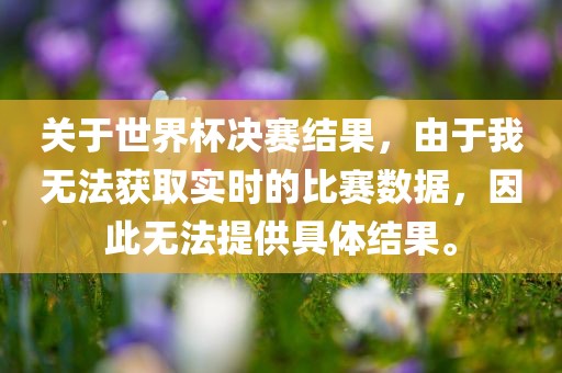关于世界杯决赛结果，由于我无法获取实时的比赛数据，眉山市正发家政服务有限公司因此无法提供具体结果。